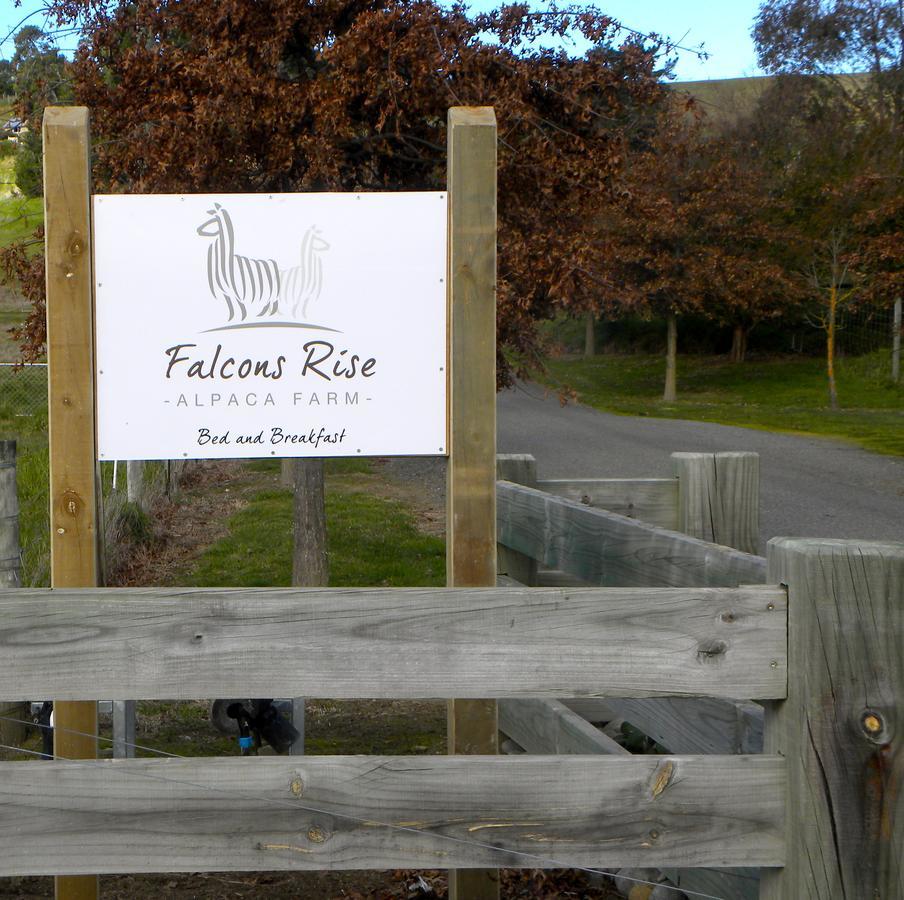 伦威克Falcon'S Rise Alpaca Farm住宿加早餐旅馆 外观 照片
